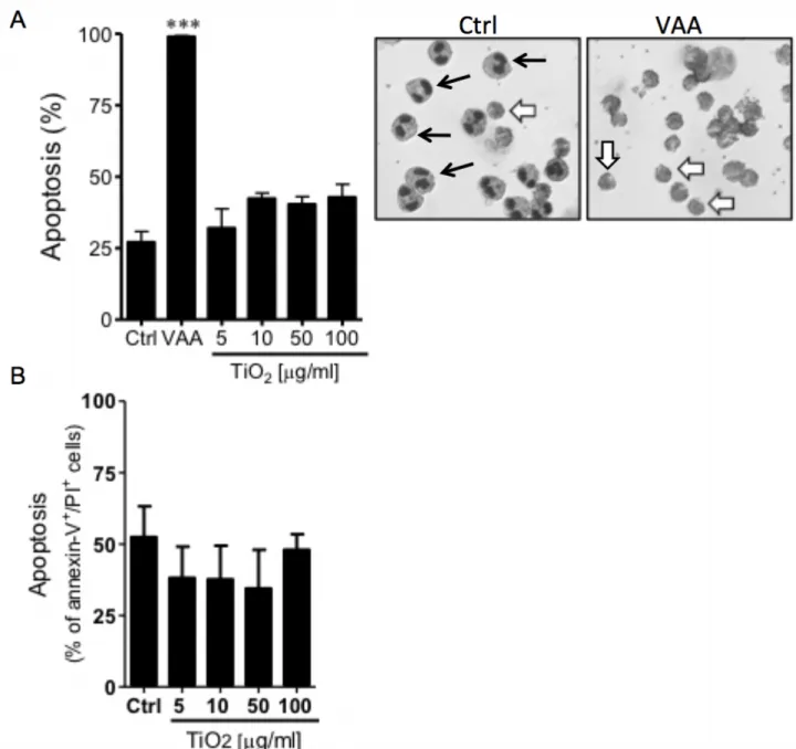 Figure  4.  TiO2 NPs do not alter the spontaneous apoptotic rate of human eosinophils 