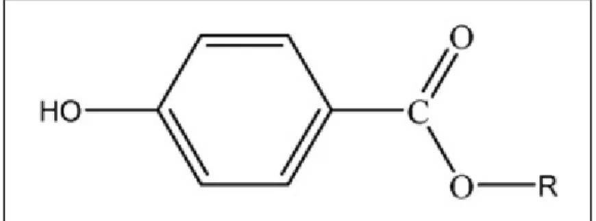 Figure 5 : Structure moléculaire  des parabènes   : R peut  être un alkyl ou  un benzyle  (R  : méthyle,  propyle,  butyle,  éthyle,  heptyle,  et benzyle)