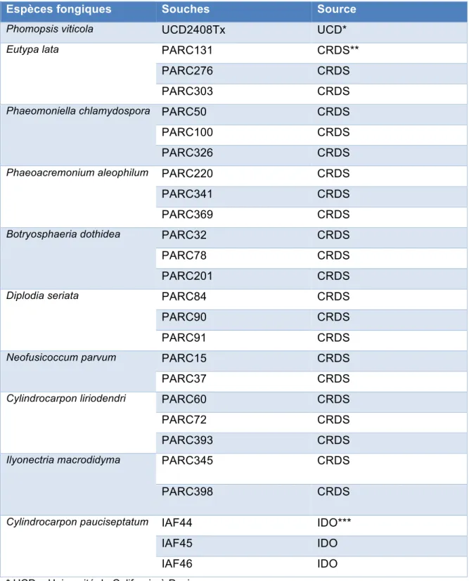 Tableau 3. La liste des souches étudiées dans le présent projet, ainsi que leurs sources  