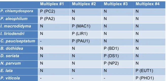 Tableau 7 : Espèces fongiques utilisées lors du test de spécificité des sondes TaqManâ dans les  quatre réactions multiplex 