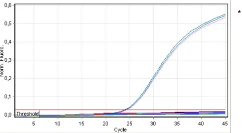 Figure 14 : Courbes d’amplification résultant du test de spécificité de la sonde PA2 contre l’espèce  cible et sept espèces non-ciblées 