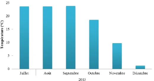 Figure I-26. Température enregistré à la jetée de Montréal de juillà à Décembre 2013  (source : Observatoire global du Saint Laurent : http://ogsl.ca/fr/obs/donnees.html)