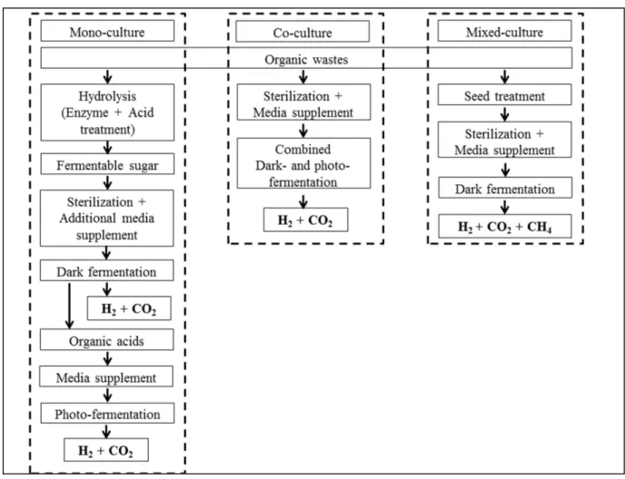 Figure 2.1.1: A schematic diagram for hydrogen production from organic wastes across  different systems