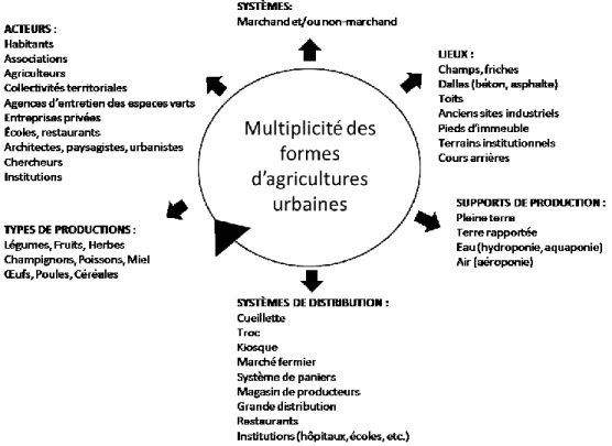 Figure 1 Plusieurs variables influencent les multiples formes et pratiques d’agricultures  urbaines