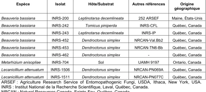 Tableau 5.1 : Liste des isolats de champignons Hypocreales utilisés pour le test de criblage