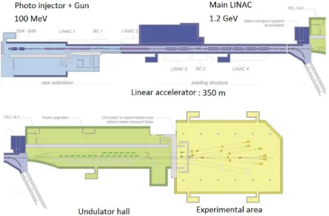 Fig. 2 - Schematics of the Fermi @ Elettra Free Electron Laser facility. The linear accelerator  produces an electron beam with energy up to 1.5 GeV (blue) that is injected into undulators  (green)