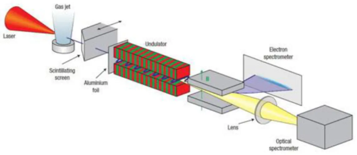 Fig.  3  –  Possible  scheme  of  a  FEL  driven  by  a  laser-driven  accelerator.  The  conventional  accelerator  is  replaced by a laser-plasma electron source providing the beam that is injected into the undulator
