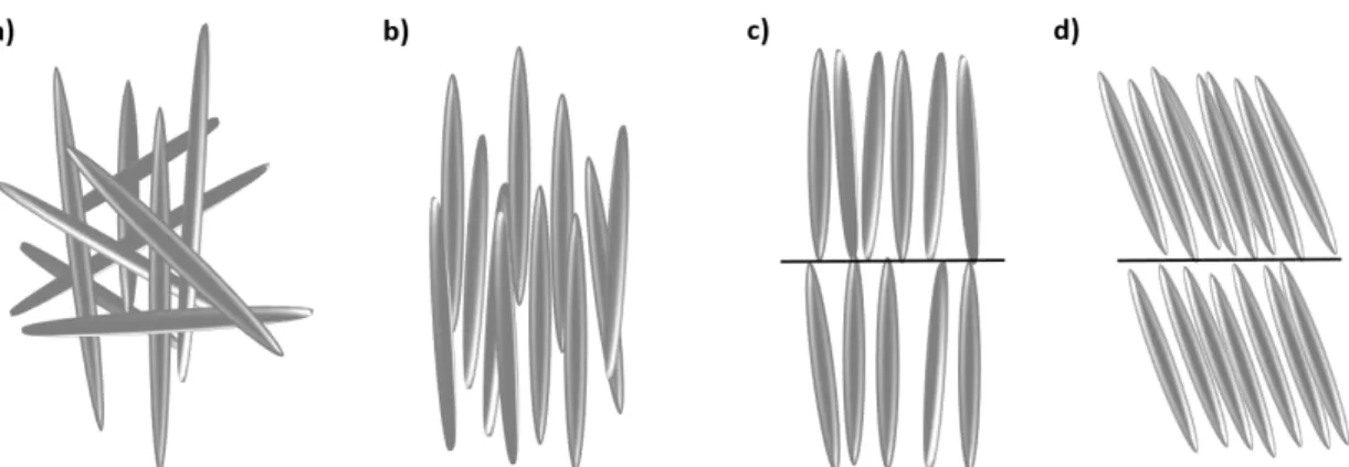 Figure 1.3.1 Schematic structures of the liquid-crystalline phases of M13 bacteriophages a) Isotropic, b) nematic,  c) smectic A, and d) smectic C phases