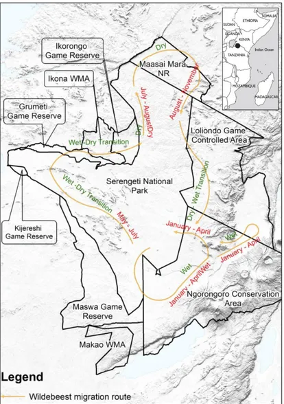 Figure 3.1   Réseau d’aires protégées de Serengeti-Mara et mouvements migratoires (compilation  d’après : Kaltenborn et al., 2008, p