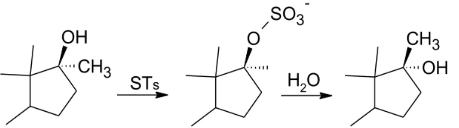Figure 3.2 :Schéma de la sulfatationsuivi de l’épimérisation en C-17 chez les stéroïdes 17α-méthylés