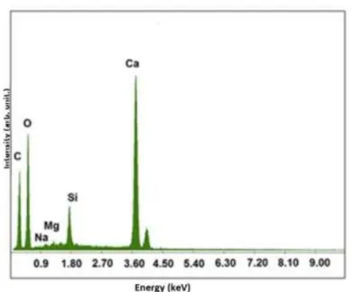 Figure 3 - EDX spectrum 