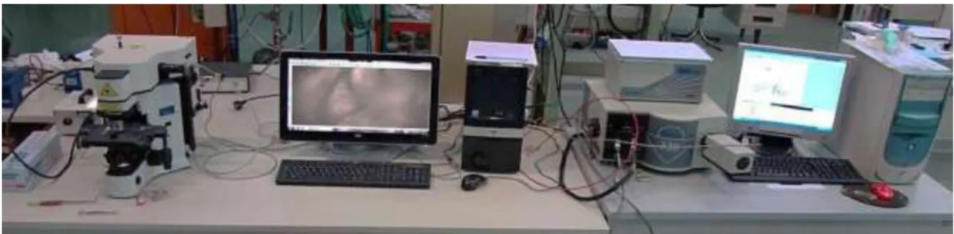 Figure 9 - Photoluminescence setup for our experiments 