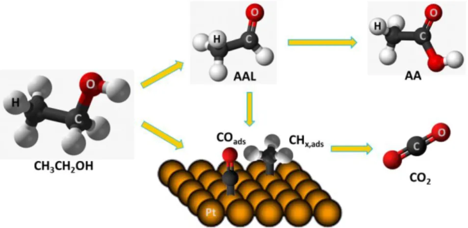 Figure 2.6 Schematic of the global reaction mechanism for the electro-oxidation of ethanol on Pt  electrodes in acidic medium [131, 139, 144]
