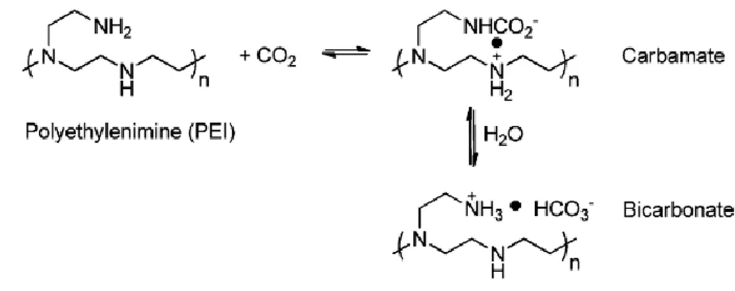 Figure 1.3 : Capture du CO 2  par les groupements amines du polyéthylènimine [9]. 