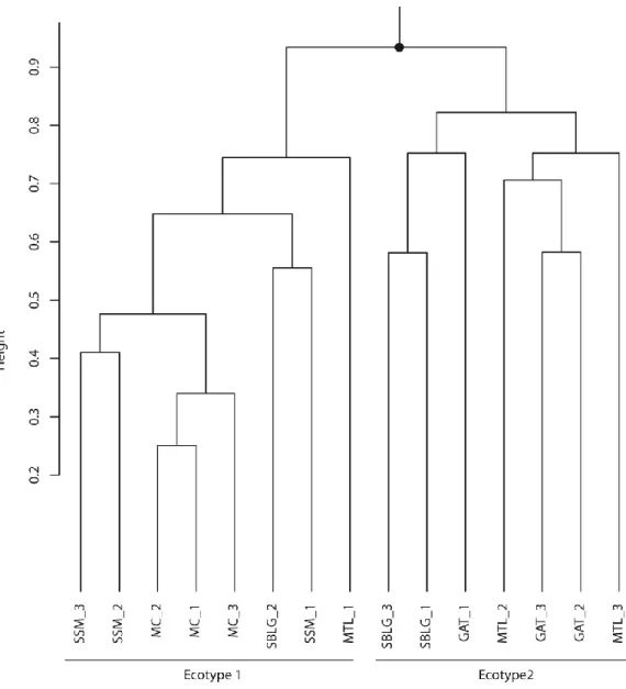 Figure  4.3 :  UPGMA  agglomerative  clustering  of  the  EAB  populations.  Populations  are  separated  in  two  significant  clusters  represented  by  a  significant  node  (  95%)