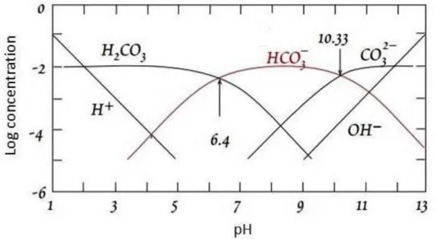 Figure 1.3  Diagramme de prédominances des espèces carbonatées dans l’eau en fonction du  pH à 25°C ∑ CO 2  = 10 -2   (Drever, 1988)  