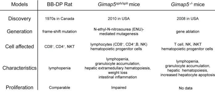 Table 1-2. Comparison of Gimap5 mutation in rat and mice models