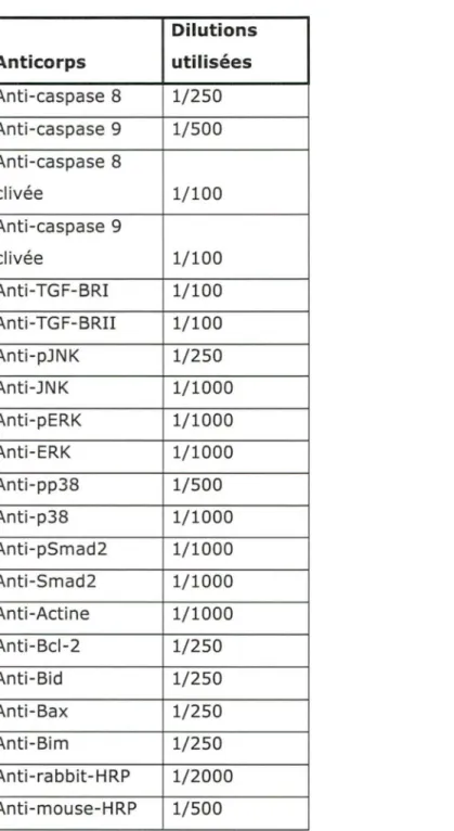 Tableau 1 : Anticorps utilisés en Western et en Immunocytochimie et dilutions utilisées 