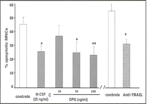 Figure 9 : Effets de l'OPG sur l'apoptose des ostéoclastes 