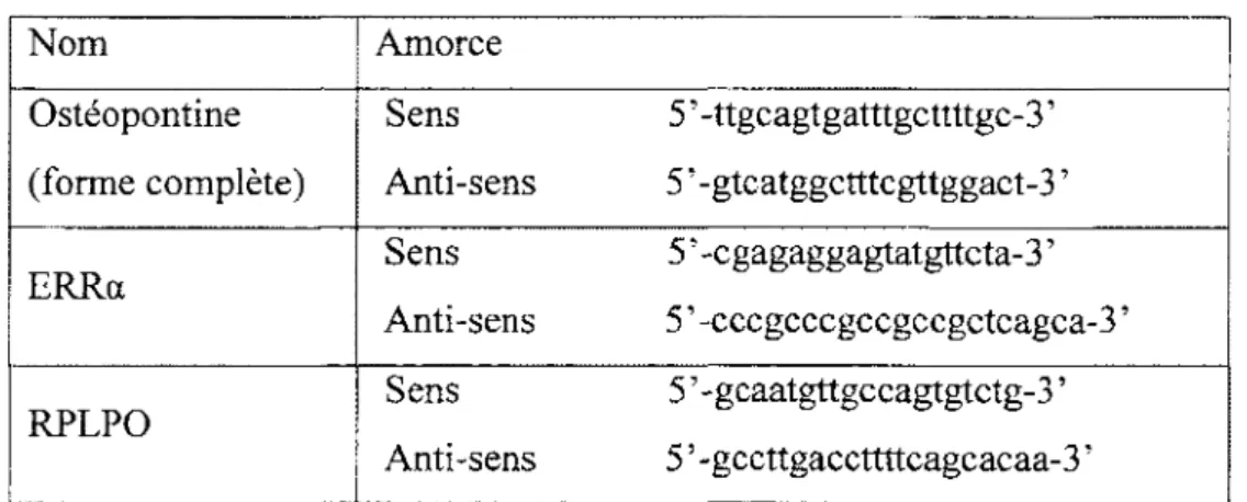 Tableau VIII. Amorces utilisées pour le PCR et le qPCR en temps réel. 