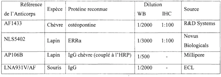 Tableau IX.  Anticorps utilisées pour l'immunobuvardage et l'immunohistochimie. 