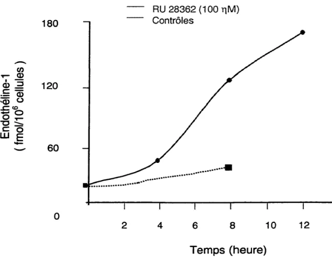 Figure 6. Effet du RU 28362 sur la sécrétion d'endothéline-1  ir  dans le milieu de  culture  des  CML V