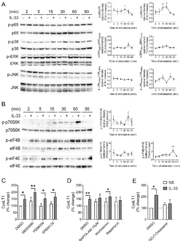 Figure 3. Involvement of mTOR and TAK-1 pathways in IL-33-induced expression of  CysLT1