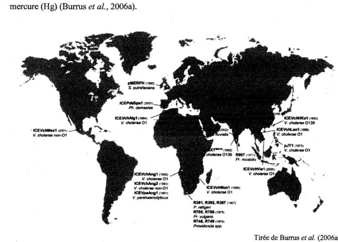 Figure 3 : Distribution mondiale des ICE de la famille SXT/R391. 