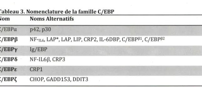 Tableau 3. Nomenclature de la famille  C/EBP  Nom  Noms Alternatifs 