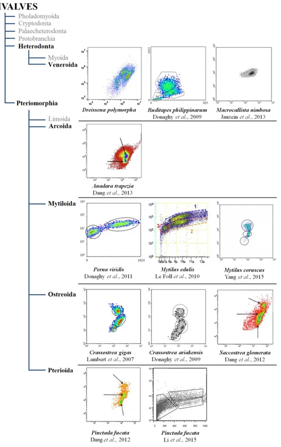 Figure 1.  7 : Illustration de la  diversité de distribution des populations hémocytaires en  cytométrie de flux chez différentes classes de mollusques