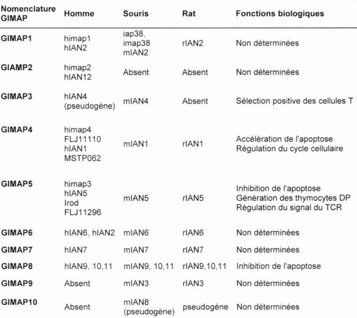 Tableau 1 : Nomenclature et fonctions des protéines GIMAP 