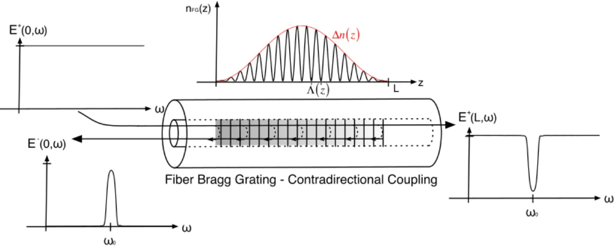 Figure 1.9 – Schematic diagram of a ﬁber Bragg grating (FBG), indicating two operation possibilities: