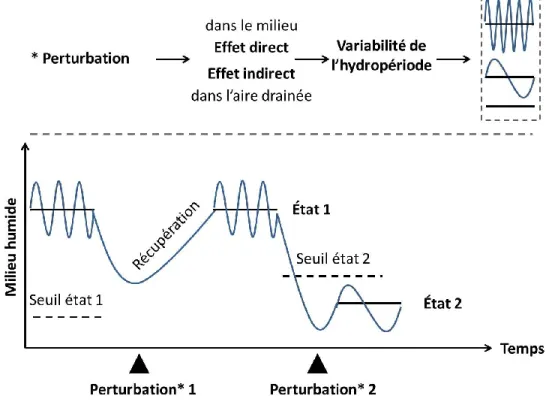 Figure 3.2 : Critères définissant le degré de vulnérabilité et de résilience d’un milieu humide 