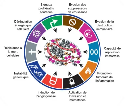 Figure  1.8      Signature  du  cancer.  Schématisation  des  10  mécanismes  utilisés  par  les  cellules  cancéreuses