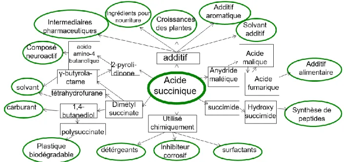 Figure : Polyvalence des applications de l’acide succinique. 