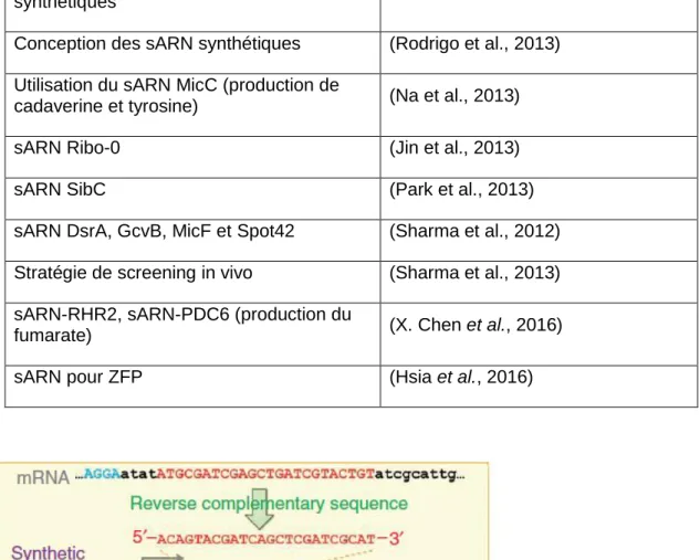 Figure : Structure de la conception d’un petit ARN.  