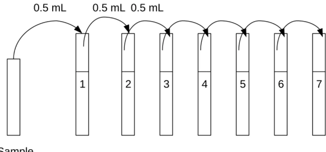 Figure 7 : Principe de dilution pour l’estimation de la concentration des cellules  totales 