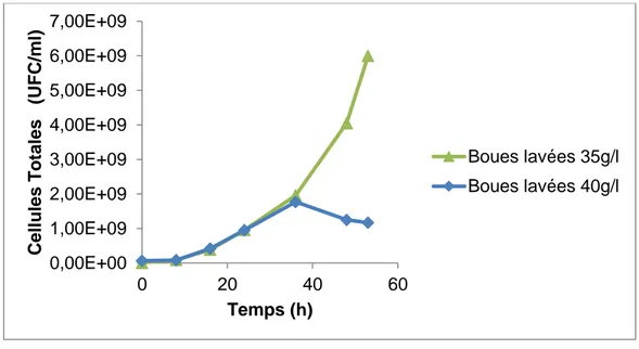 Figure 10 : Évolution des cellules totales au cours des fermentations avec des  boues lavées à 35 et 40 g/l 0,00E+001,00E+092,00E+093,00E+094,00E+095,00E+096,00E+097,00E+090 20 40 60