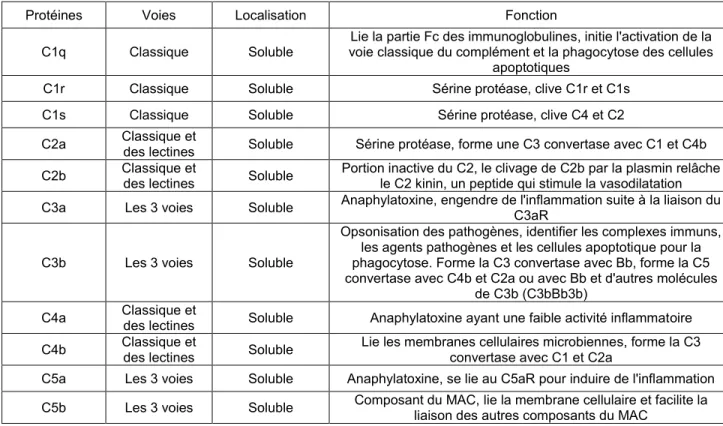 Tableau 4. Liste des protéines du complément et de leur fonction  (Compilation d’après Kuby, Immunology, 2012) 