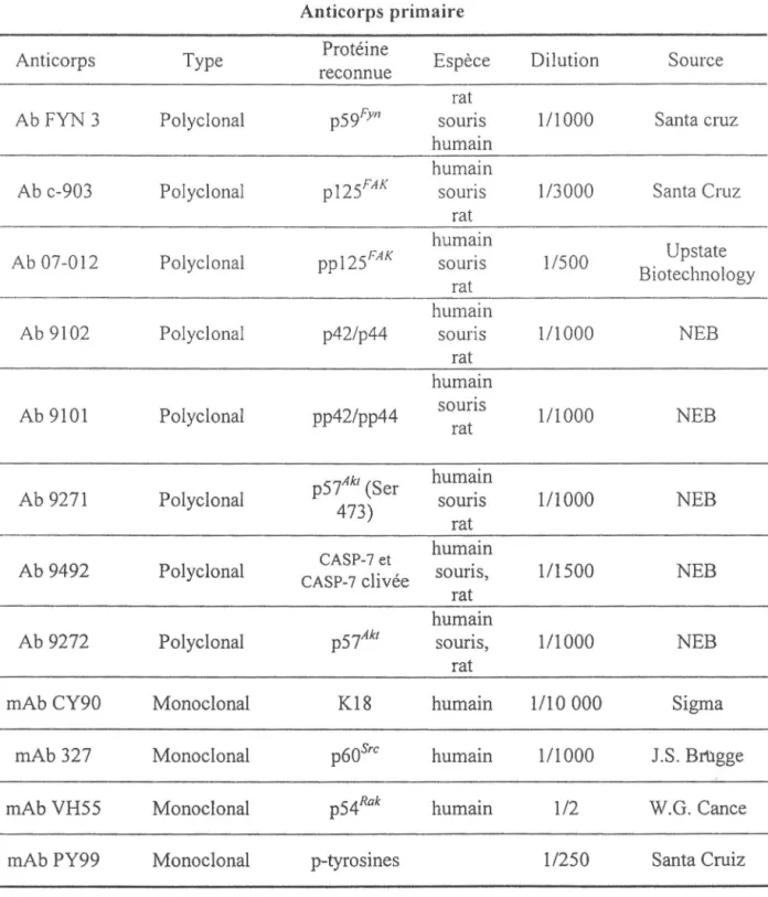 Tableau 3.  Anticorps de voies de  signalisation utilisés pour les analyses Western blot  Anticorps primaire 