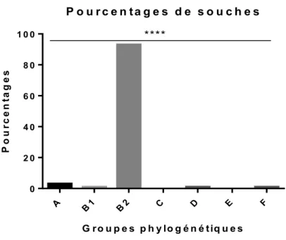 Figure 4.5 : Pourcentages de souches faisant de l’hémolyse selon le groupe phylogénétique auquel  appartient la souche