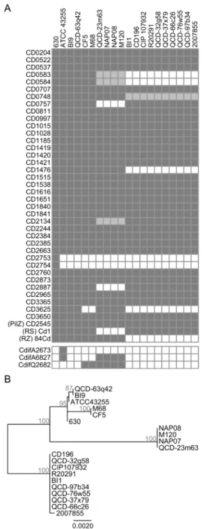 Figure 2. Conservation of c-di-GMP-signalling components of C. difficile 630 in other strains of C