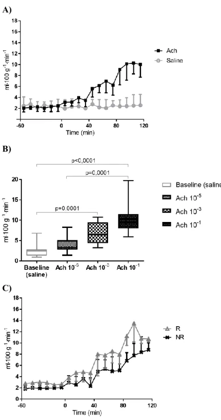 Figure 8. Effect of acetylcholine (Ach) on ATBF. 