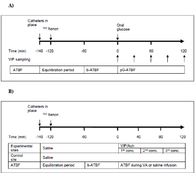 Figure 9. Time line of experiments. 