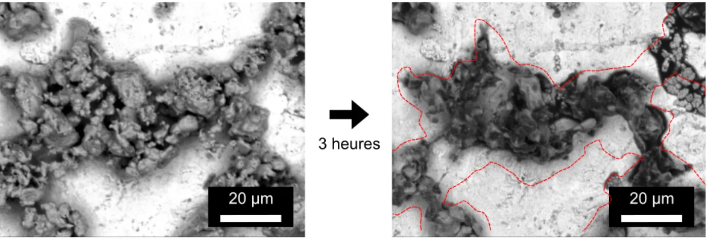 Figure 2.1 – Particules de soufre avant et après 3 heures dans le MEB à 1 mPa, sur un porte échantillon en cuivre