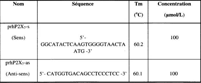 Tableau 4 : Amorces utilisées pour l'amplification par PCR du promoteur humain du  P2X7 Nom Séquence Tm (°C) Concentration(pmol/L) prhP 2 X 7 -s (Sens) 5 