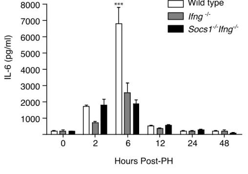 Figure 3.2.2.A: Serum IL-6 levels after partial hepatectomy 