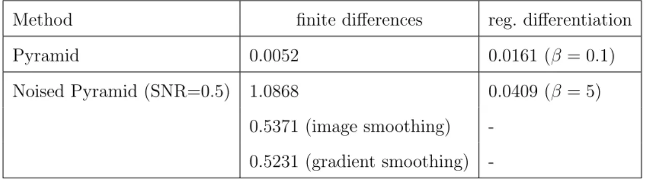Table 3.1 – Mean squared errors between the computed and actual values of the partial derivatives