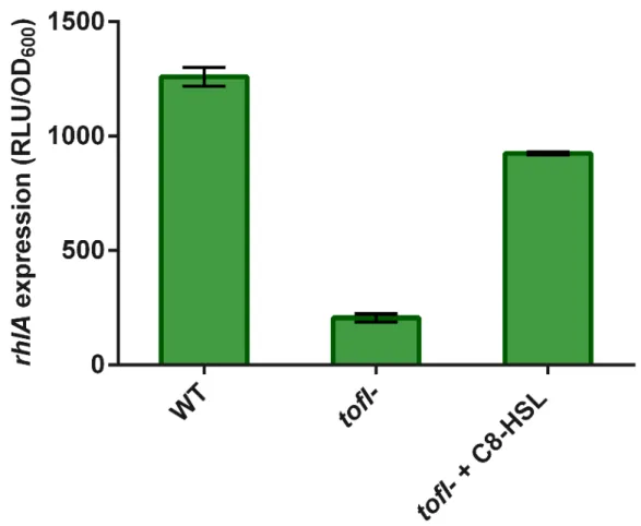 Figure 2.3 Expression from the rhl operon promoter in wild-type and tofI- strains carrying a chromosomal rhlA’- rhlA’-lux transcriptional reporter