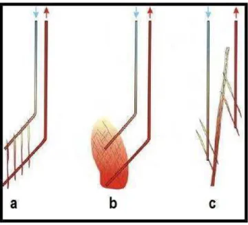 Figure 1.3: Quelques réseaux de fractures utilisés pour la stimulation des systèmes HDR (Jung et al